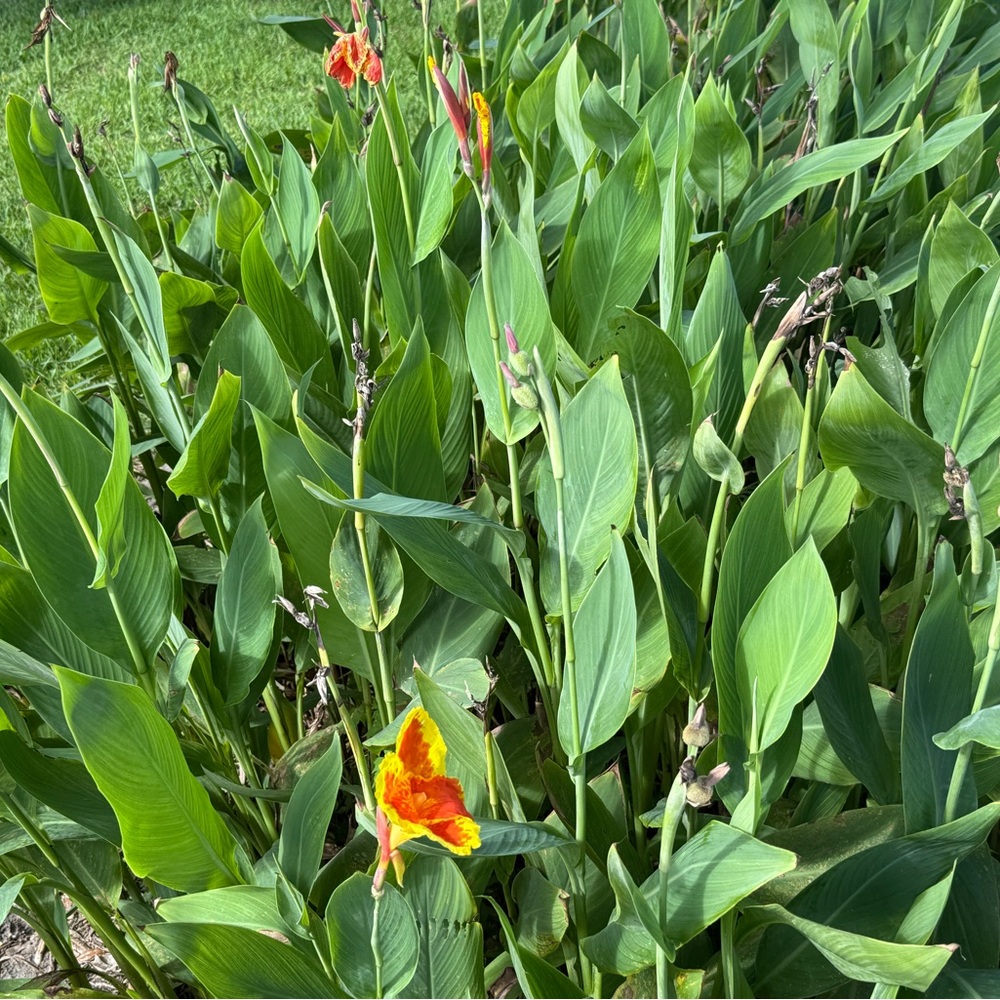 Meet your Posher, Karl